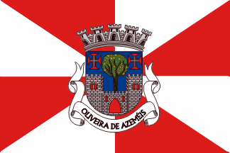 [Oliveira de Azeméis municipality]