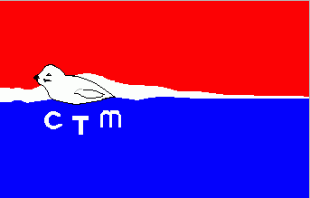 [Centro Treino Mar Funchal flag (PT)]