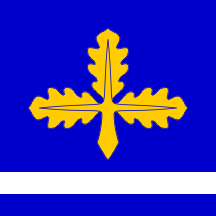 [Flag of Mladenovac]