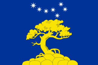 Pyaozerskoe flag