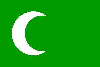 19-18-1920 Chechen Flag
