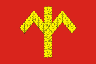 Flag of Koshnoruyskoe