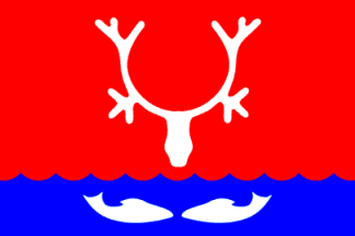 Nar’yan-Mar flag
