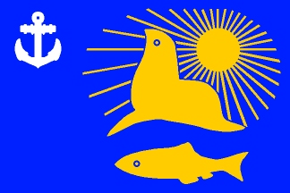 flag of Nevelsk Region