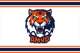 Amur Hockey Club flag