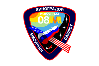 TMA-08 mission flag
