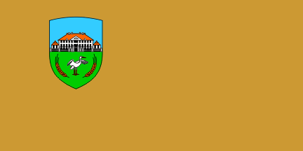 [Flag of Dornava]