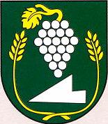 [Vinica coat of arms]