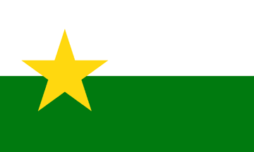 [Flag of Forsyth County, North Carolina]