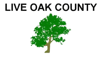 [Flag of Live Oak County, Texas]