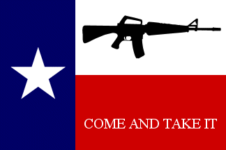 [Texas Gun Control Protest Flag]
