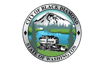 [Flag of Black Diamond, Washington]