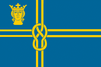 [flag of ICV 20]