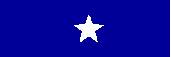 rank plate USN Ream Admiral (Lower Half)/US Air Force Brigadier General