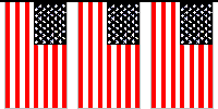 [United States Poly Flag Strings]