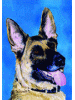 [German Shepherd Dog Banner]