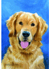 [Golden Retriever Dog Banner]