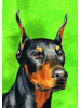 [Doberman Dog Banner]