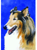 [Collie Dog Banner]