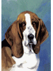 [Basset Hound Dog Banner]