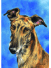 [Greyhound Dog Banner]