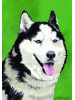 [Siberian Dog Banner]