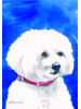 [Maltese Dog Banner]