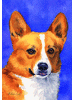 [Corgi Dog Banner]