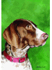 [German Shorthair Pointer Dog Banner]