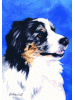 [Australian Shepherd Dog Banner]