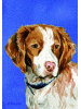 [Brittany Spaniel Dog Banner]