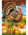 [Turkey And Pumpkins Banner]