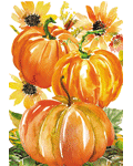 [Watercolor Pumpkins Banner]