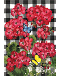 Checkered Geraniums Banner