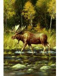Wading Moose Banner