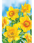 Daffodils Banner