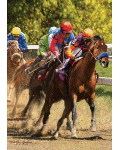 Race Horse Banner