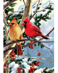 [Cardinal Branch Banner]
