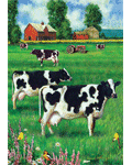 Cow Fields Banner