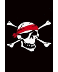 Jolly Red Bandana Banner