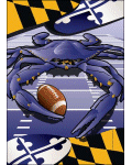 [Maryland Football Crab Banner]