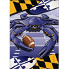 [Maryland Football Crab Banner]