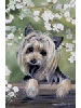 [Yorkie Dog Banner]