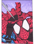 [Spider-man banner flag]