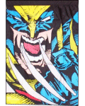 [Wolverine man banner flag]