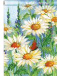 Shasta Daisies Banner