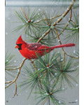 [Winter Redbird Banner]