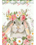 [Hello Bunny Banner]