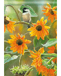 [Sunflower Chickadee Banner]