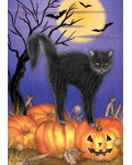 [Jack O'Lantern Kitty Banner]